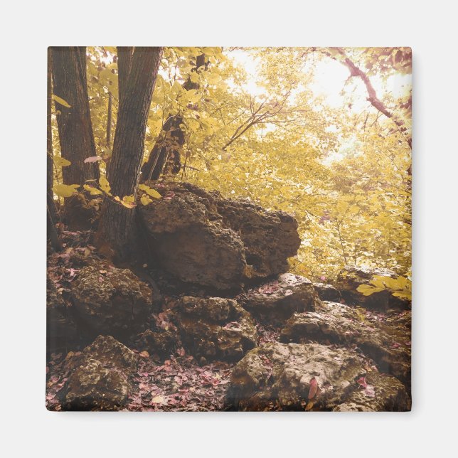 Imán iowa del parque de estados de la columna vertebral (Frente)