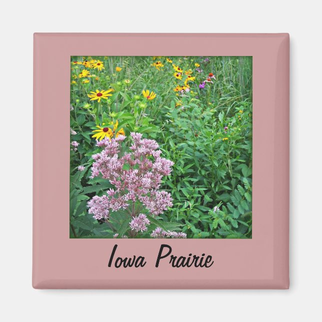 Imán Iowa Prairie (Frente)