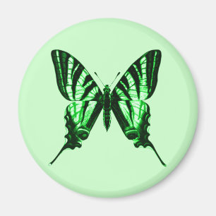 Imán Iphiclides podalirius Magnet