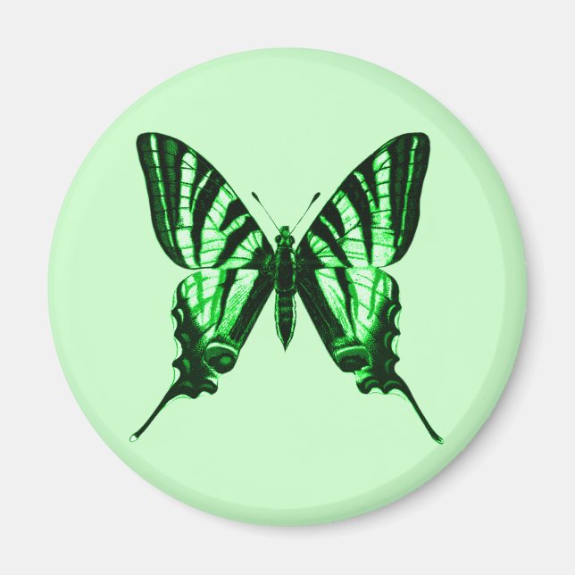 Imán Iphiclides podalirius Magnet (Frente)