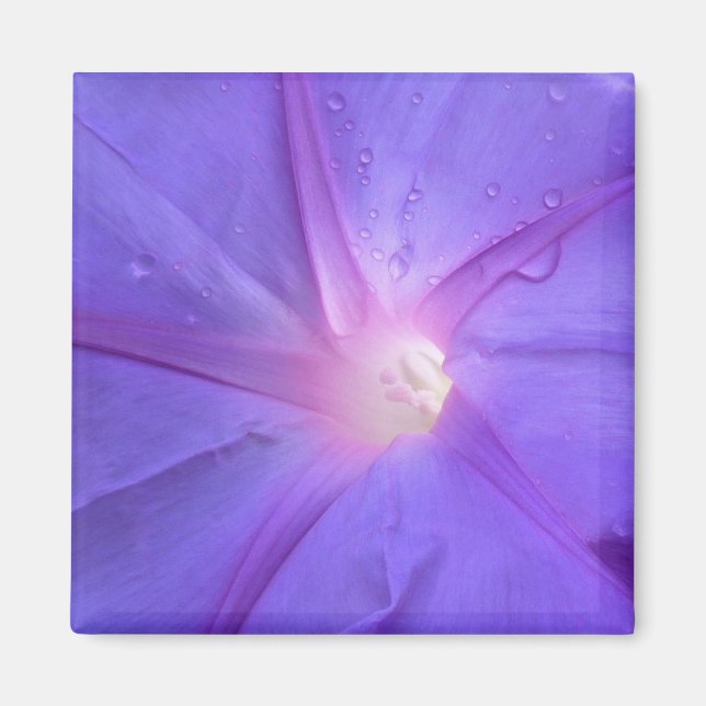 Imán ipomée (Frente)