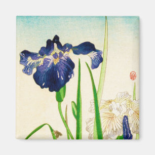 Imán Iris azul - impresión japonesa de la acuarela