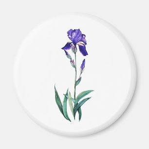 Imán Iris azul por PMACarlson