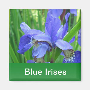 Imán iris azules y hojas verdes