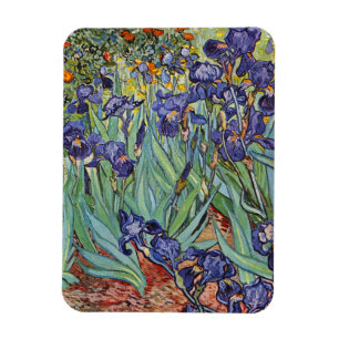 Imán Iris de Van Gogh Pintura Impresionista