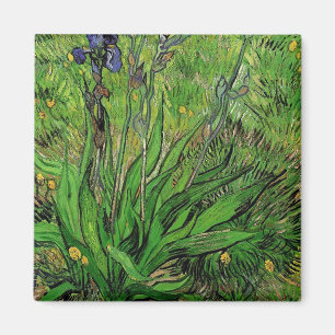 Imán Iris floral vintage de Vincent van Gogh