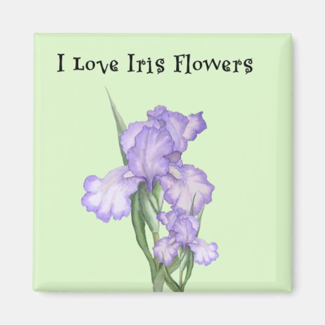 Imán Iris Flower Magnet (Frente)