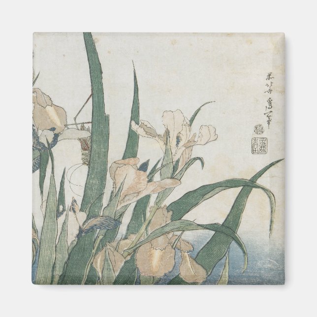 Imán Iris Flowers and Grasshopper, c.1830-31 (Frente)