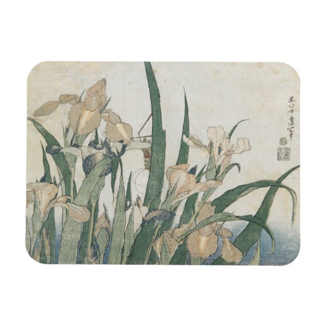 Imán Iris Flowers and Grasshopper, c.1830-31 (Horizontal)