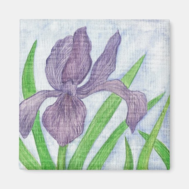 Imán Iris Magnet (Frente)