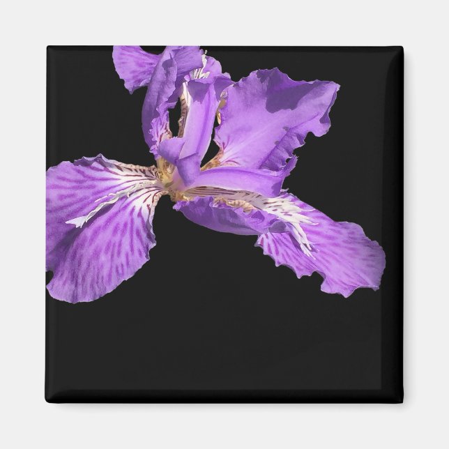 Imán Iris Purple (Frente)