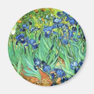 Imán Iris - Vincent van Gogh (1889)