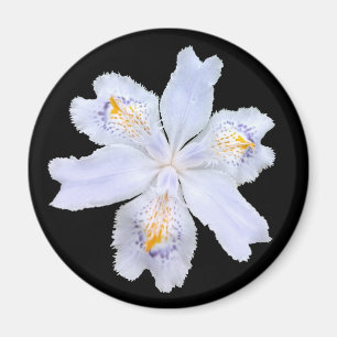 Imán Iris White
