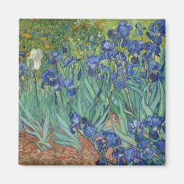 Imán Irises de Vincent Van Gogh