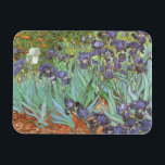 Imán Irises de Vincent van Gogh<br><div class="desc">Irises (1889) de Van Gogh es una pintura vintage post impresionsionismo de arte fino de naturaleza floral. Un grupo de iris morados con barba y una sola flor blanca de iris que crece en un jardín. Fue una de sus primeras pinturas cuando estuvo en el asilo en Saint-Remy-de-Provence. En 1987...</div>