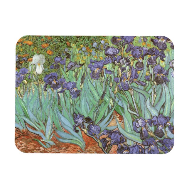 Imán Irises de Vincent van Gogh (Horizontal)