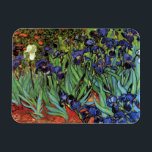 Imán Irises de Vincent van Gogh, Arte de Jardín Vintage<br><div class="desc">Irises (1889) de Vincent van Gogh es un bello arte vintage post impresionsionismo paisaje floral con un jardín con iris morado barbudo cultivado por amapolas naranjas. Una sola flor blanca de iris está floreciendo al borde. Sobre el artista: Vincent Willem van Gogh (1853-1890) fue uno de los pintores más famosos...</div>