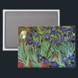 Imán Irises de Vincent van Gogh, Arte de Jardín Vintage<br><div class="desc">Irises (1889) de Vincent van Gogh es un bello arte vintage post impresionsionismo paisaje floral con un jardín con iris morado barbudo cultivado por amapolas naranjas. Una sola flor blanca de iris está floreciendo al borde. Sobre el artista: Vincent Willem van Gogh (1853-1890) fue uno de los pintores más famosos...</div>