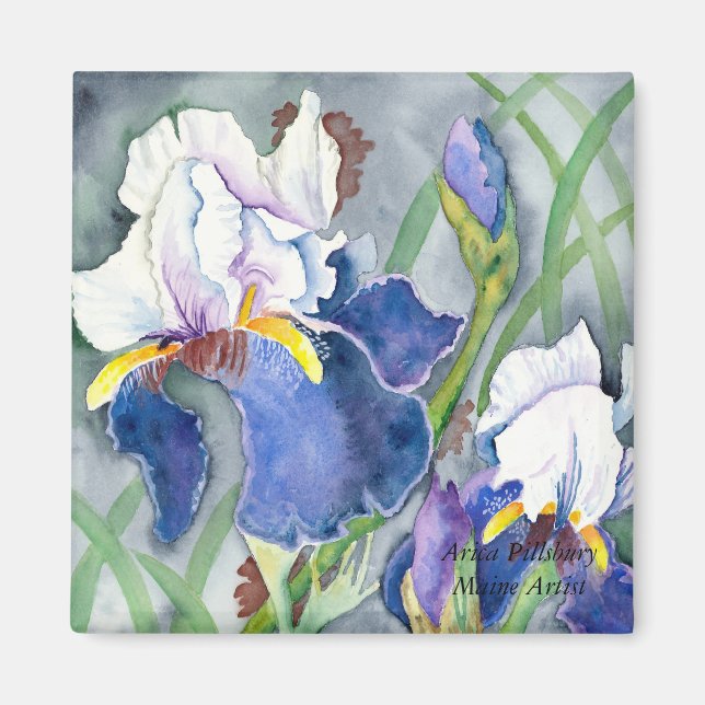 Imán IRISES Magnet (Frente)