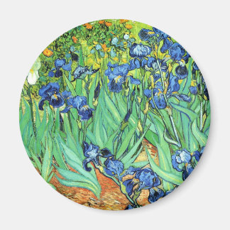 Imán Irises - Vincent Van Gogh (1889)