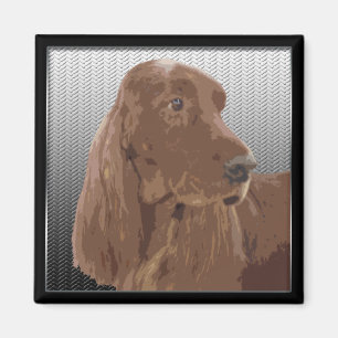Imán Irish Setter