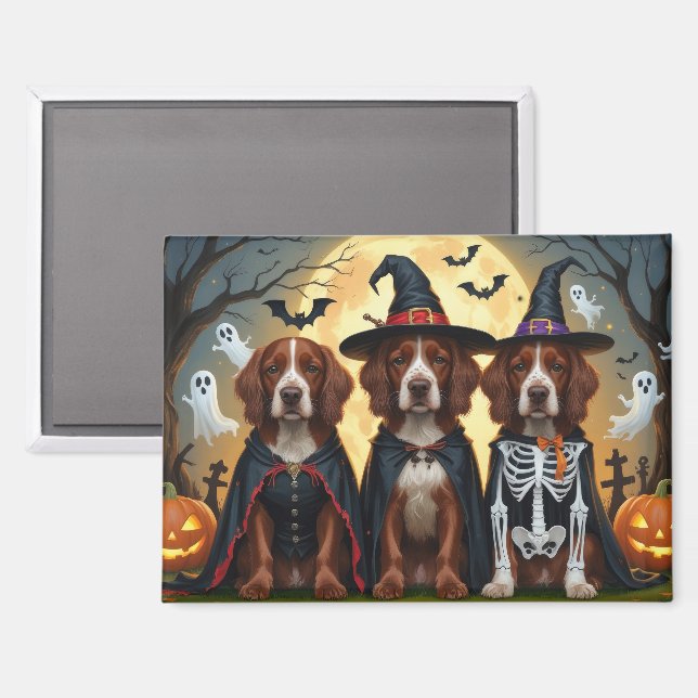 Imán Irlandés Red Setter Dogs Pumpkin Halloween Funny (Anverso/Reverso)