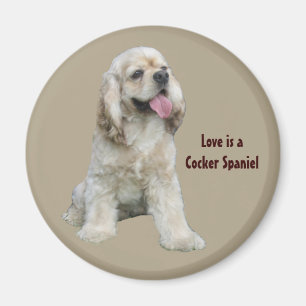 Imán irresistible de cocker spaniel