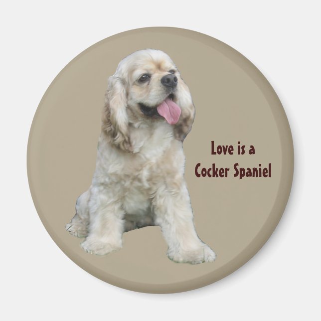 Imán irresistible de Cocker Spaniel (Frente)