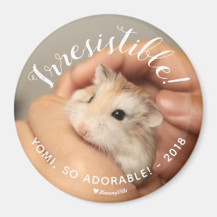 Imán Irresistible de un martillo lindo