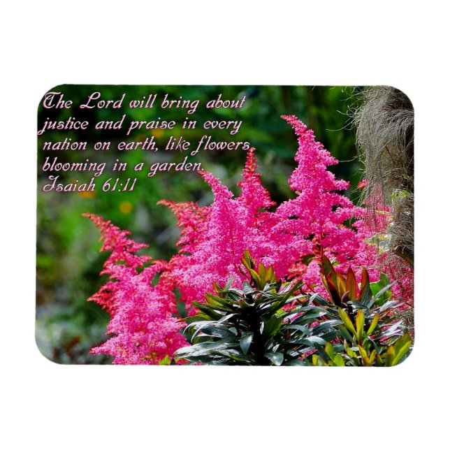 Imán Isaiah 61:11 Inspirador floral rosado (Horizontal)