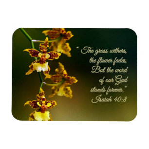 Imán Isaías 40:8 Inspirador