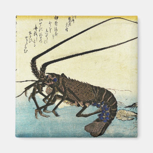 Imán Isebi & Ebi - Langostinos (langosta espinosa) y ca