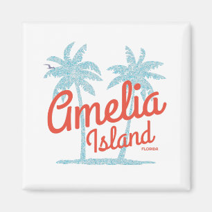 Imán Isla Amelia Florida Playa Coral Oleaje