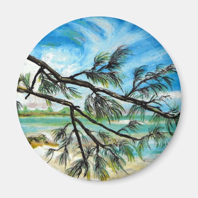 Imán Isla Andros, Bahamas (Frente)