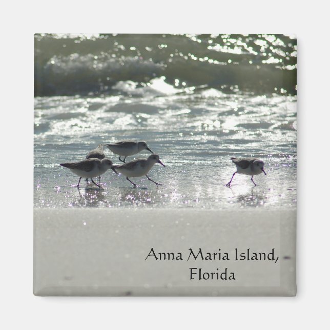 Imán Isla Anna Maria, Florida (Frente)