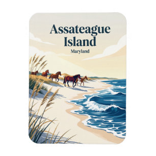 Imán Isla Assateague Maryland