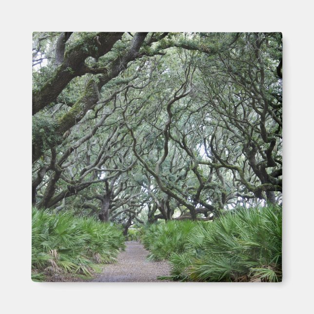 Imán Isla Cumberland (Frente)