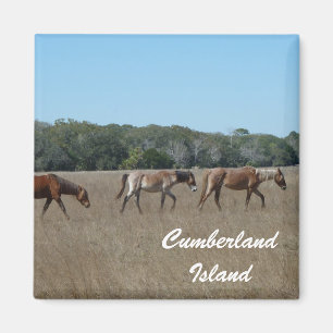 Imán Isla Cumberland Caballos salvajes Foto Magnet Geor