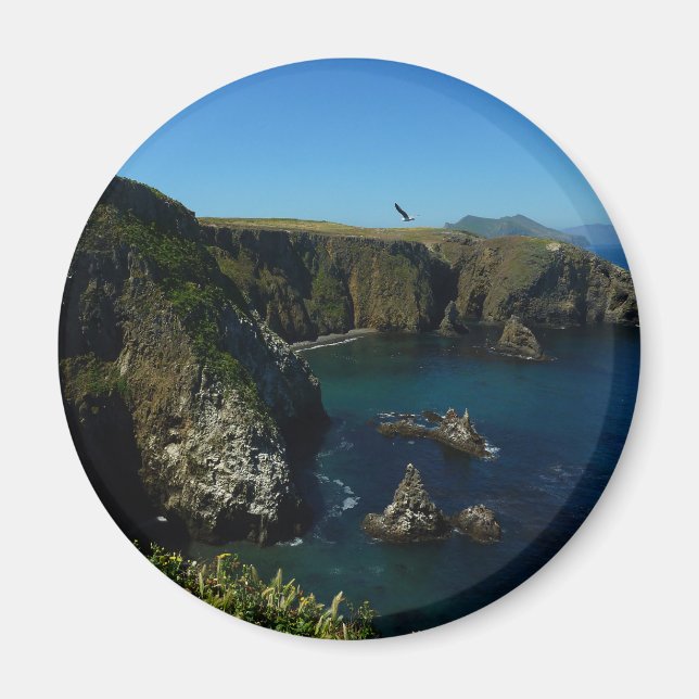 Imán Isla de Anacapa en el Parque Nacional de las Islas (Frente)