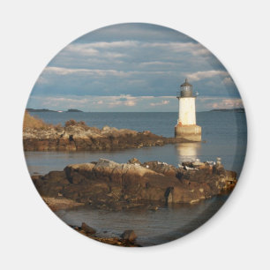 Imán Isla de invierno