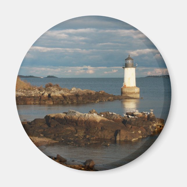 Imán Isla de invierno (Frente)