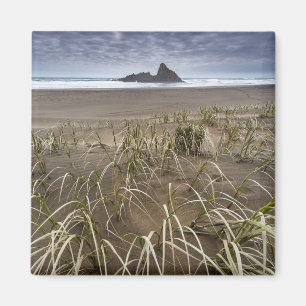 Imán Isla de la playa el Panatahi de Karekare, costa