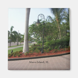 Imán "Isla de Marco, FL "