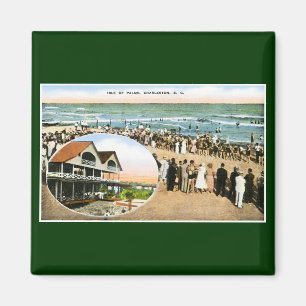 Imán Isla de palmas, Charleston, Carolina del Sur