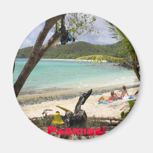 Imán ¡ISLA de ST. JOHN, Paridise!