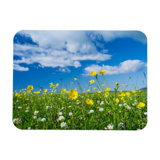 Imán isla de Sudamérica | Escocia (Horizontal)