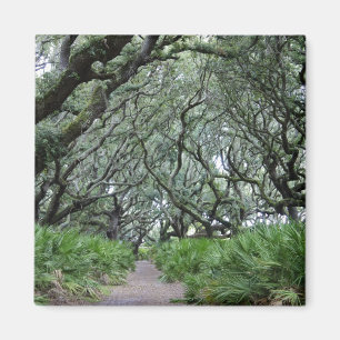 Imán Isla del Cumberland