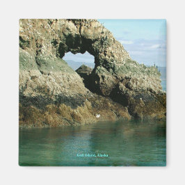 Imán Isla del Gull, Alaska