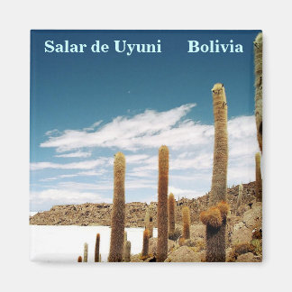 Imán Isla del Pescado, Salar de Uyuni, Bolivia