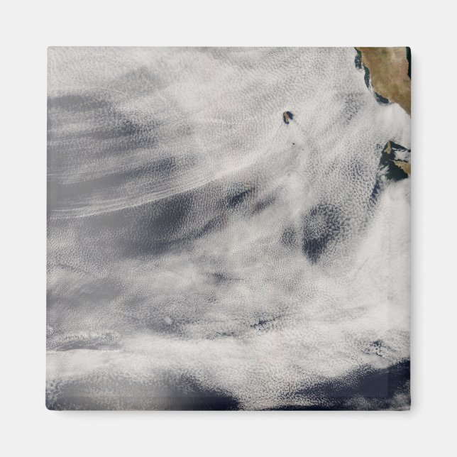 Imán Isla Guadalupe (Frente)